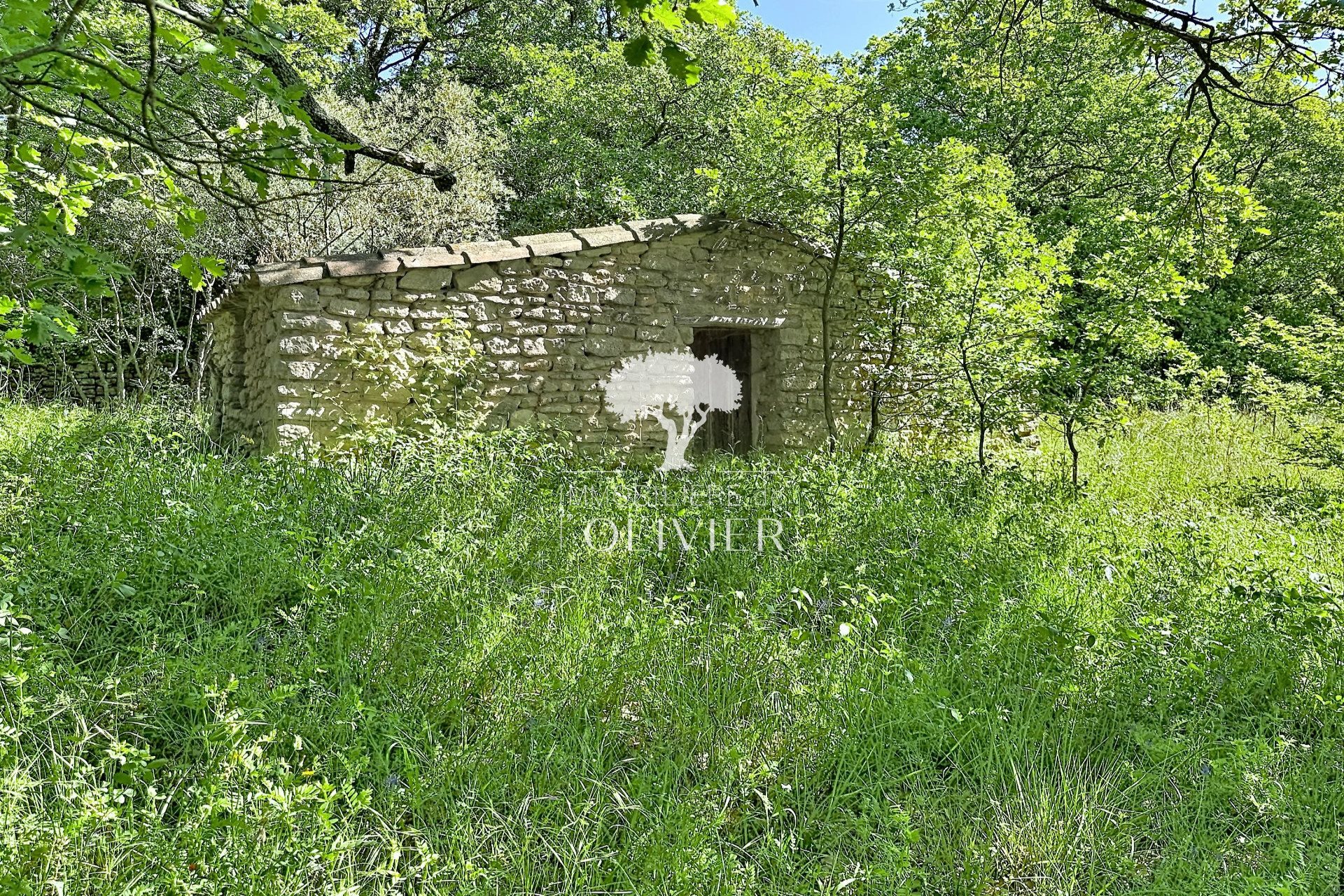 Maison à vendre, 220m², Saignon