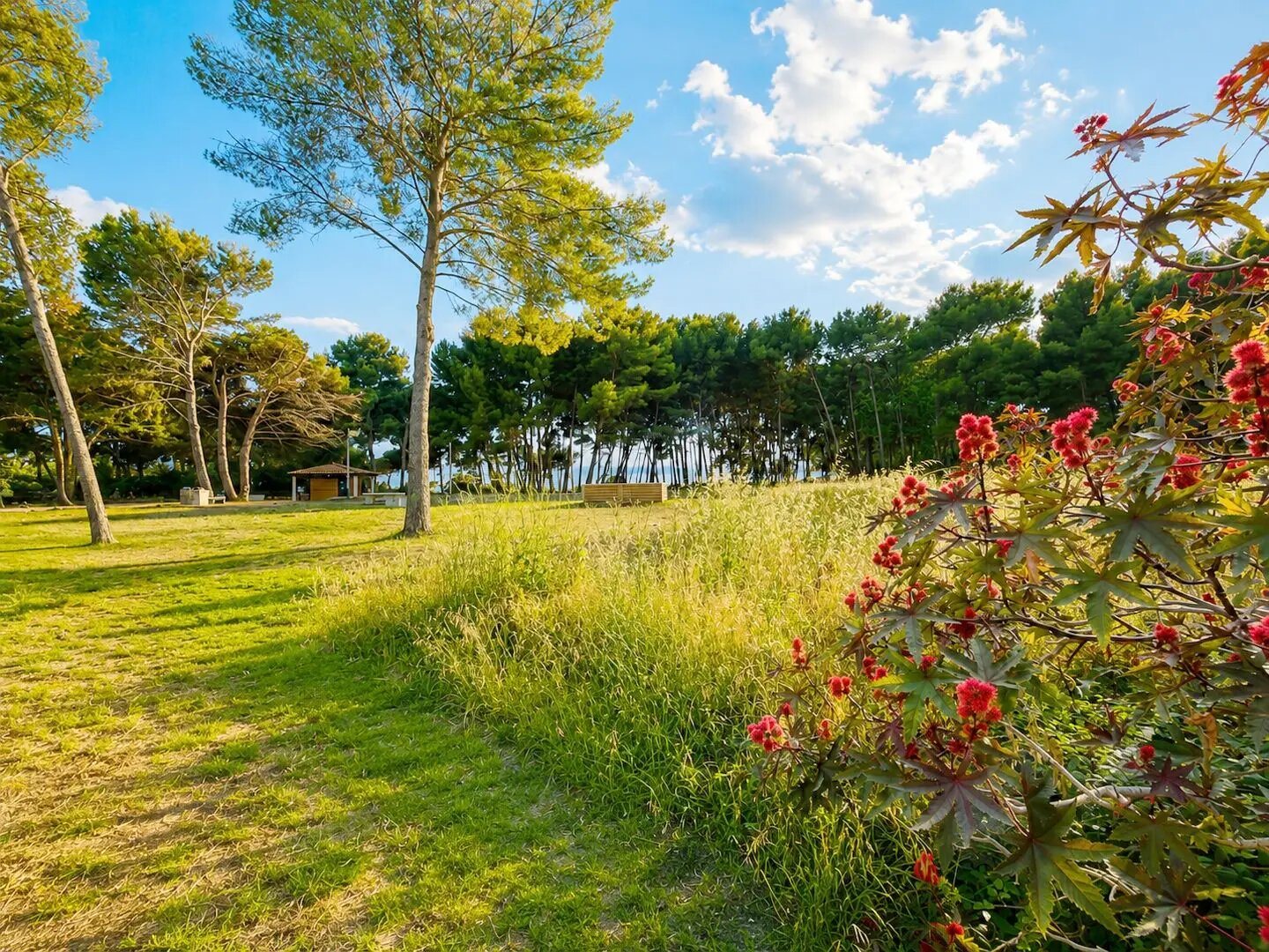 Appartement à vendre, 110m², Saint-Mandrier-sur-Mer