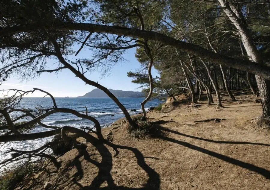 Appartement à vendre, 110m², Saint-Mandrier-sur-Mer