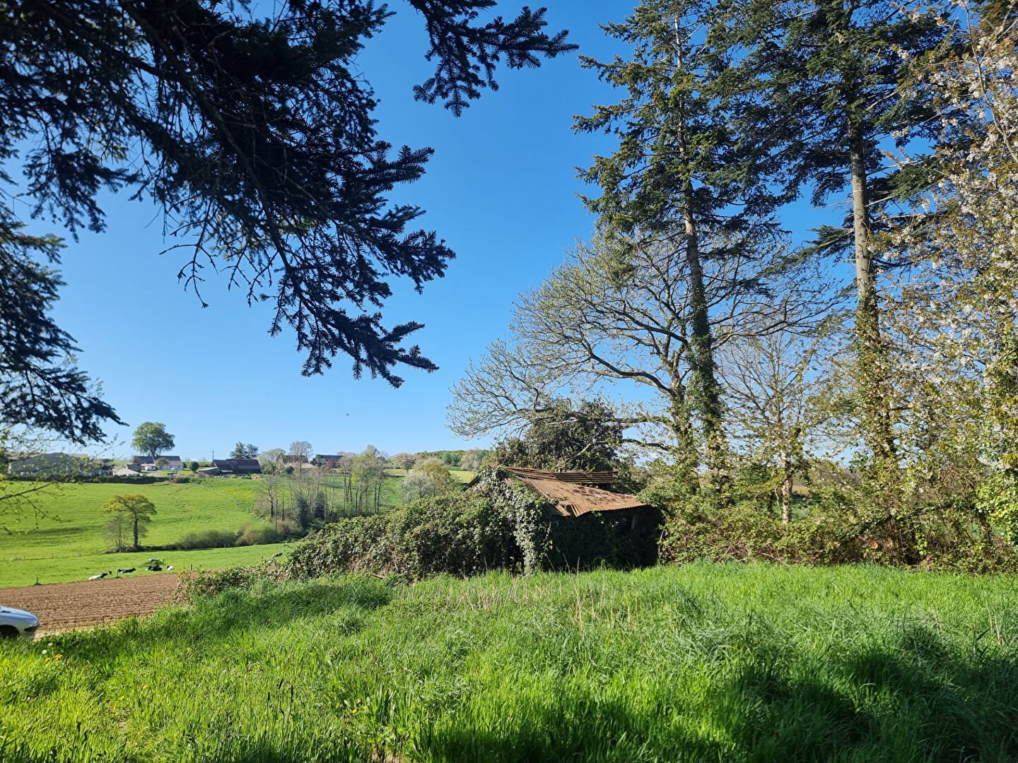 Maison à vendre, 50m², La Mancellière