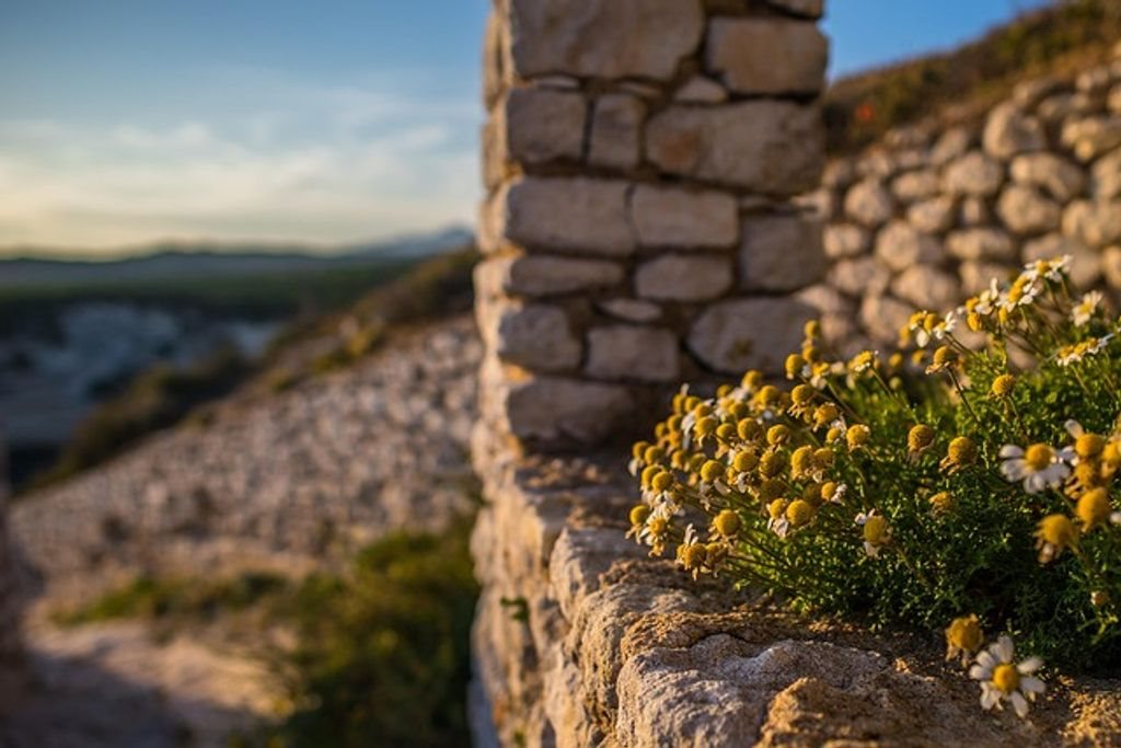 Maison à vendre, 162m², Bonifacio
