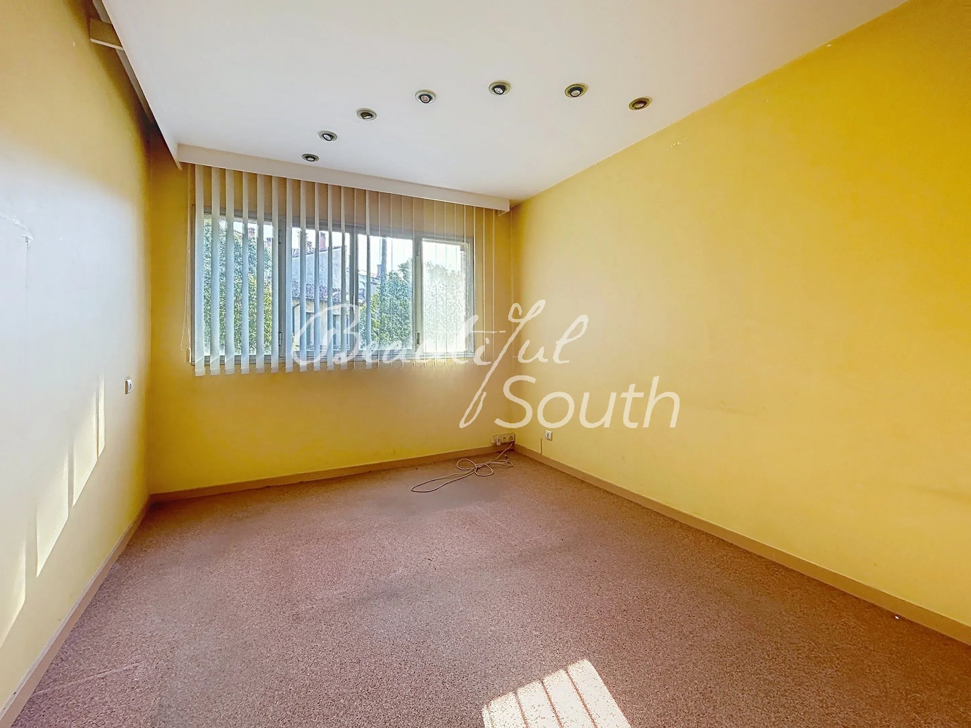 Purchase: Business premises (66000) - Plus