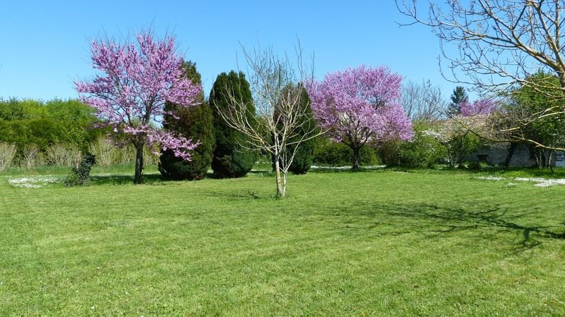 Maison à vendre, 198m², Courcôme