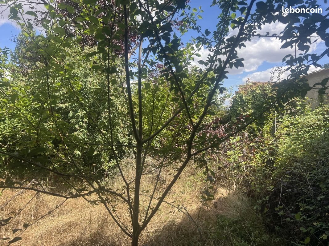 Maison à vendre, 100m², Queaux