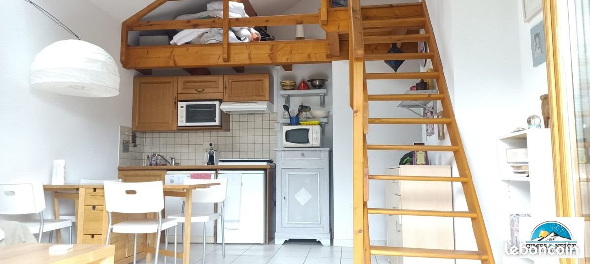 Appartement à vendre, 43m², Puy-Saint-Vincent