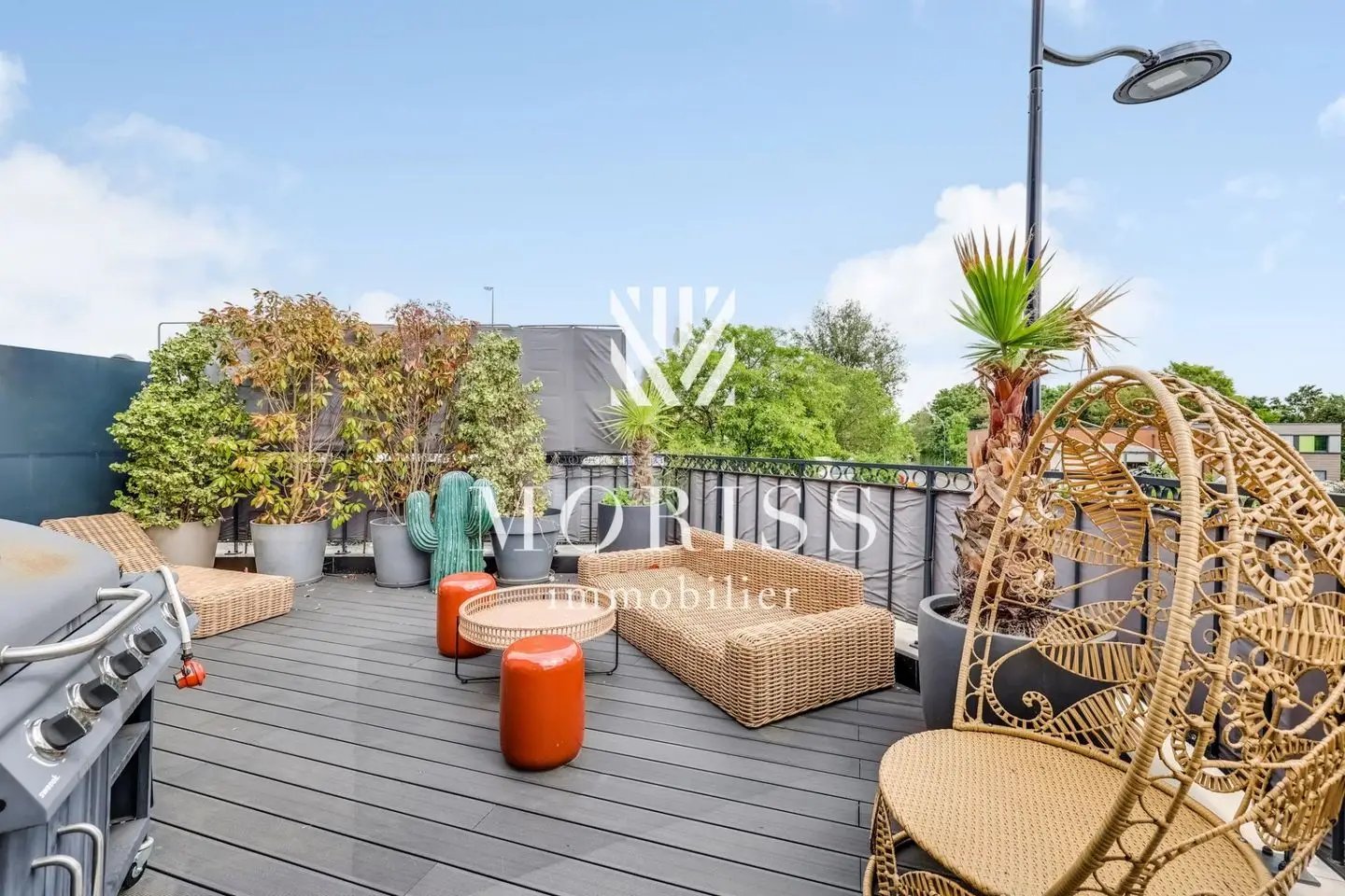 Appartement à vendre, 234m², Joinville-le-Pont