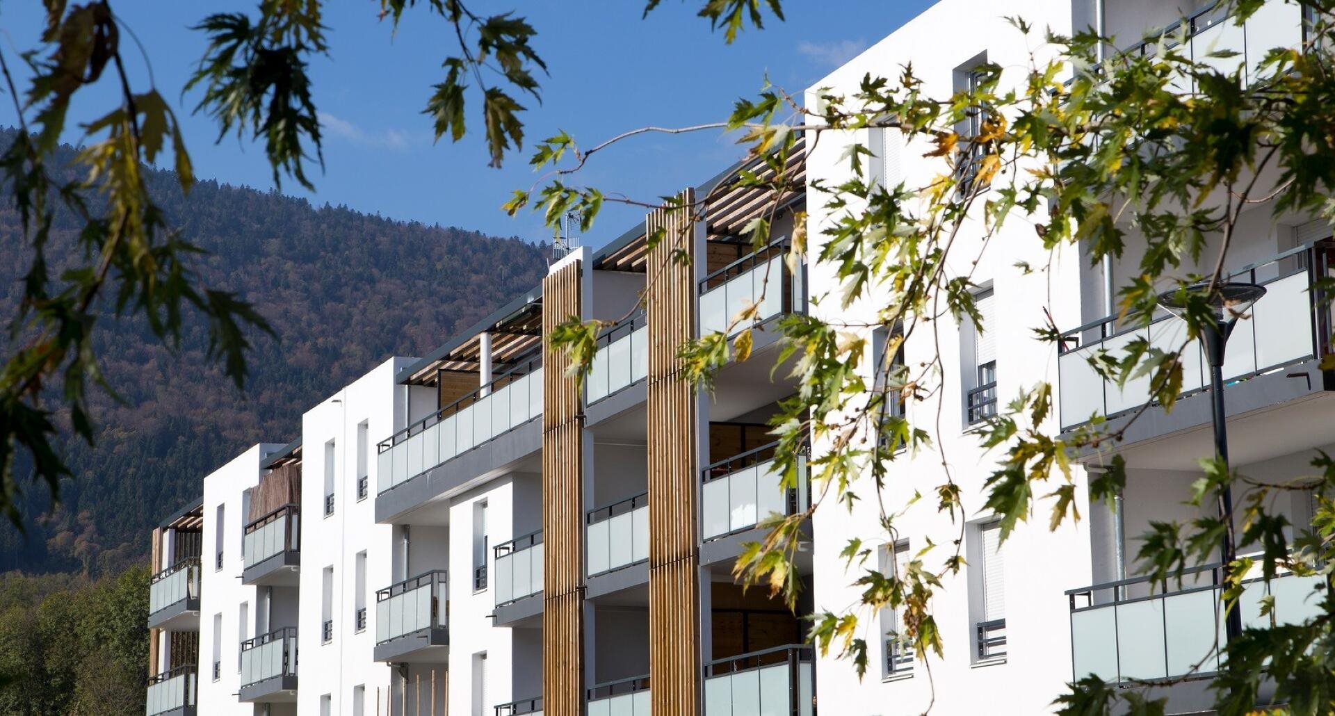 Appartement à louer, 43m², Gex