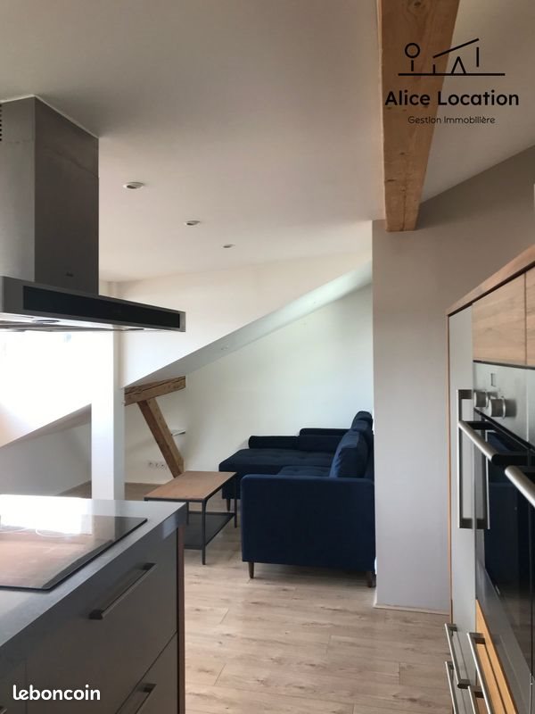 Appartement à louer, 44m², Evian-les-Bains