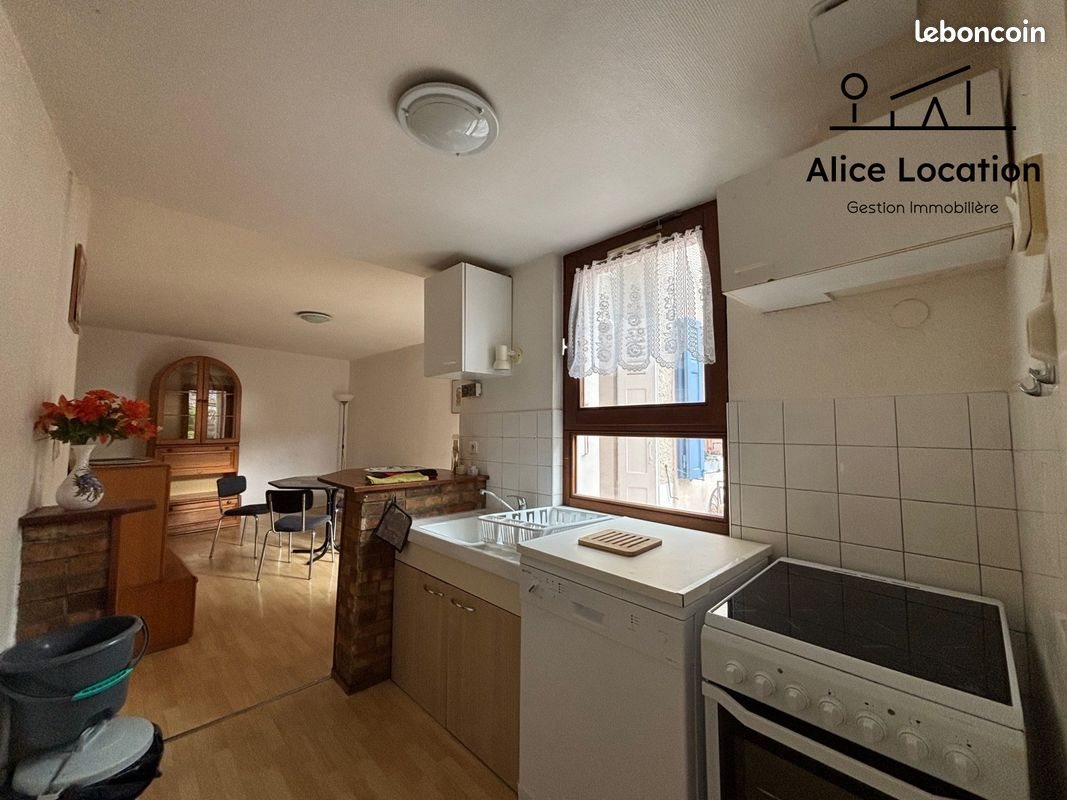 Appartement à louer, 48m², Thonon-les-Bains