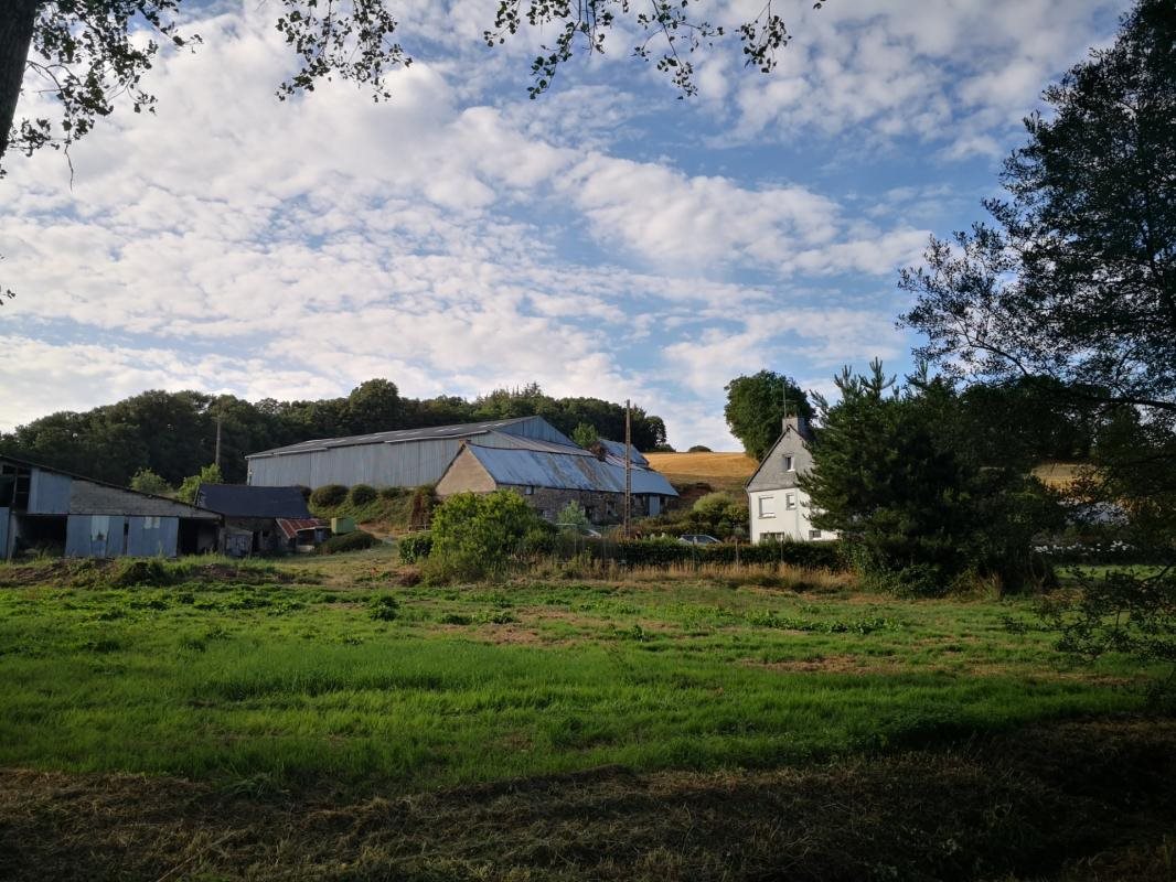 Maison à vendre, 160m², Uzel