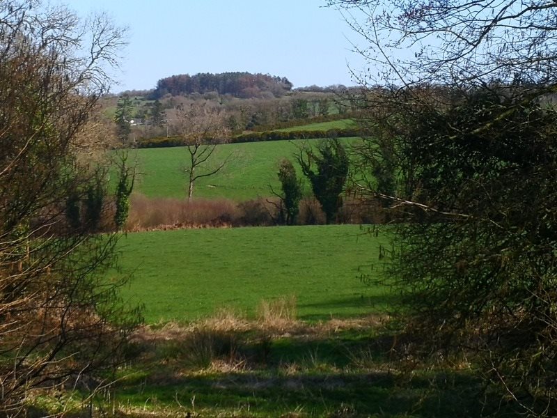 Maison à vendre, 107m², Callac