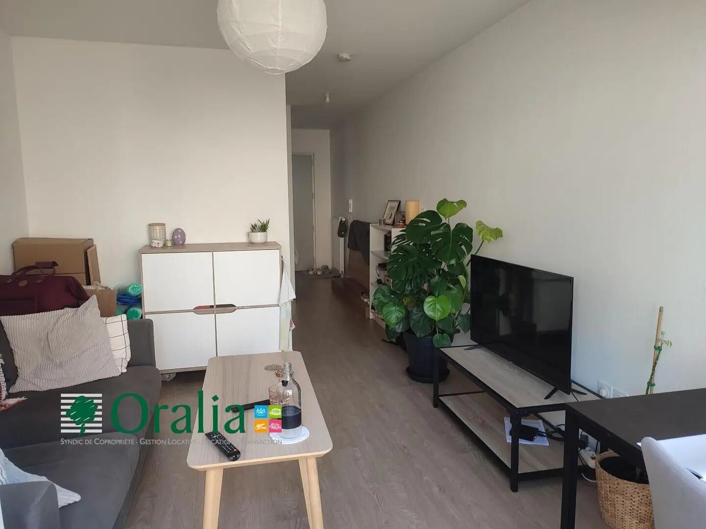 Appartement à louer, 27m², Dijon