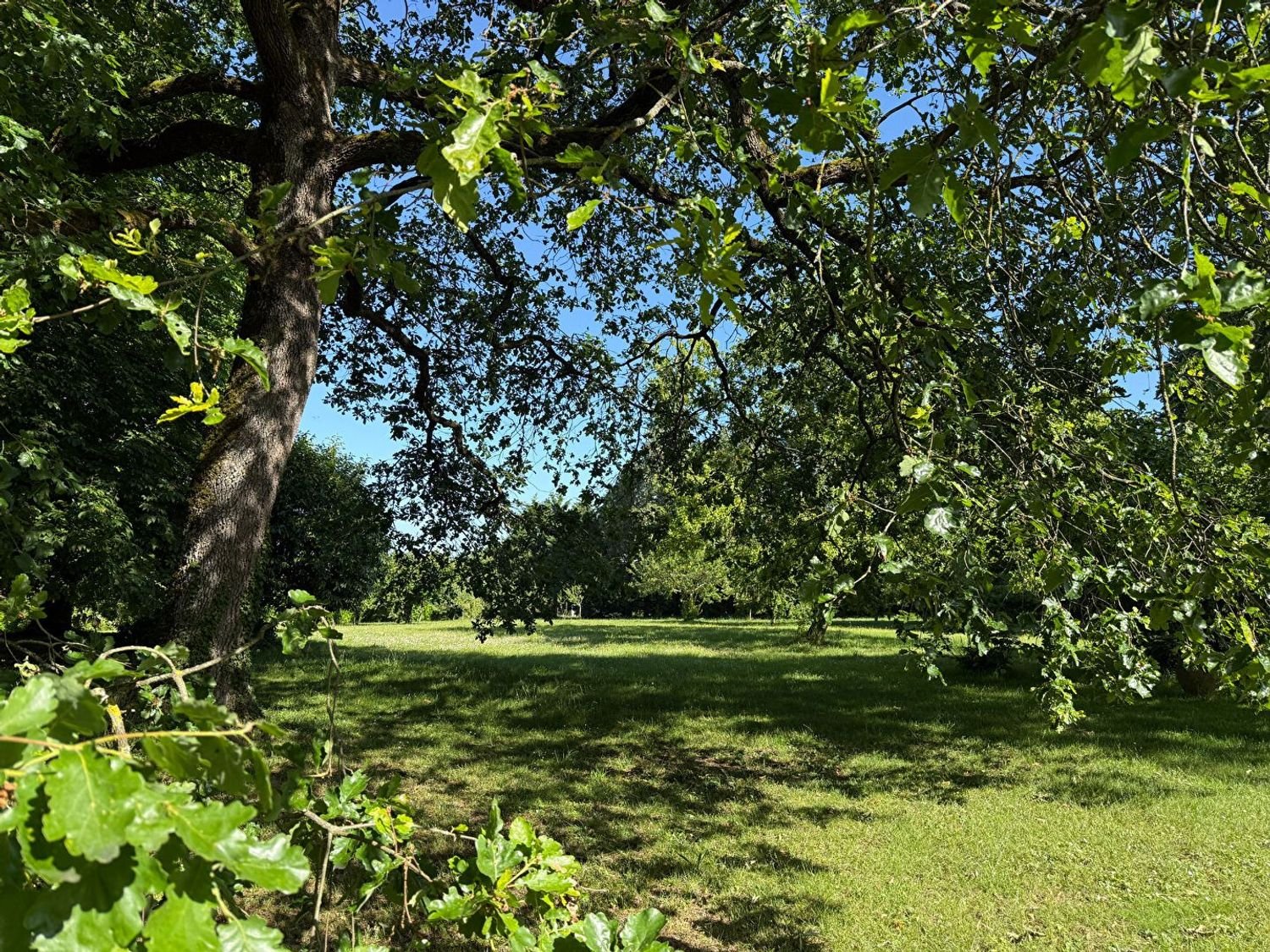 Maison à vendre, 337m², La Villedieu-du-Clain