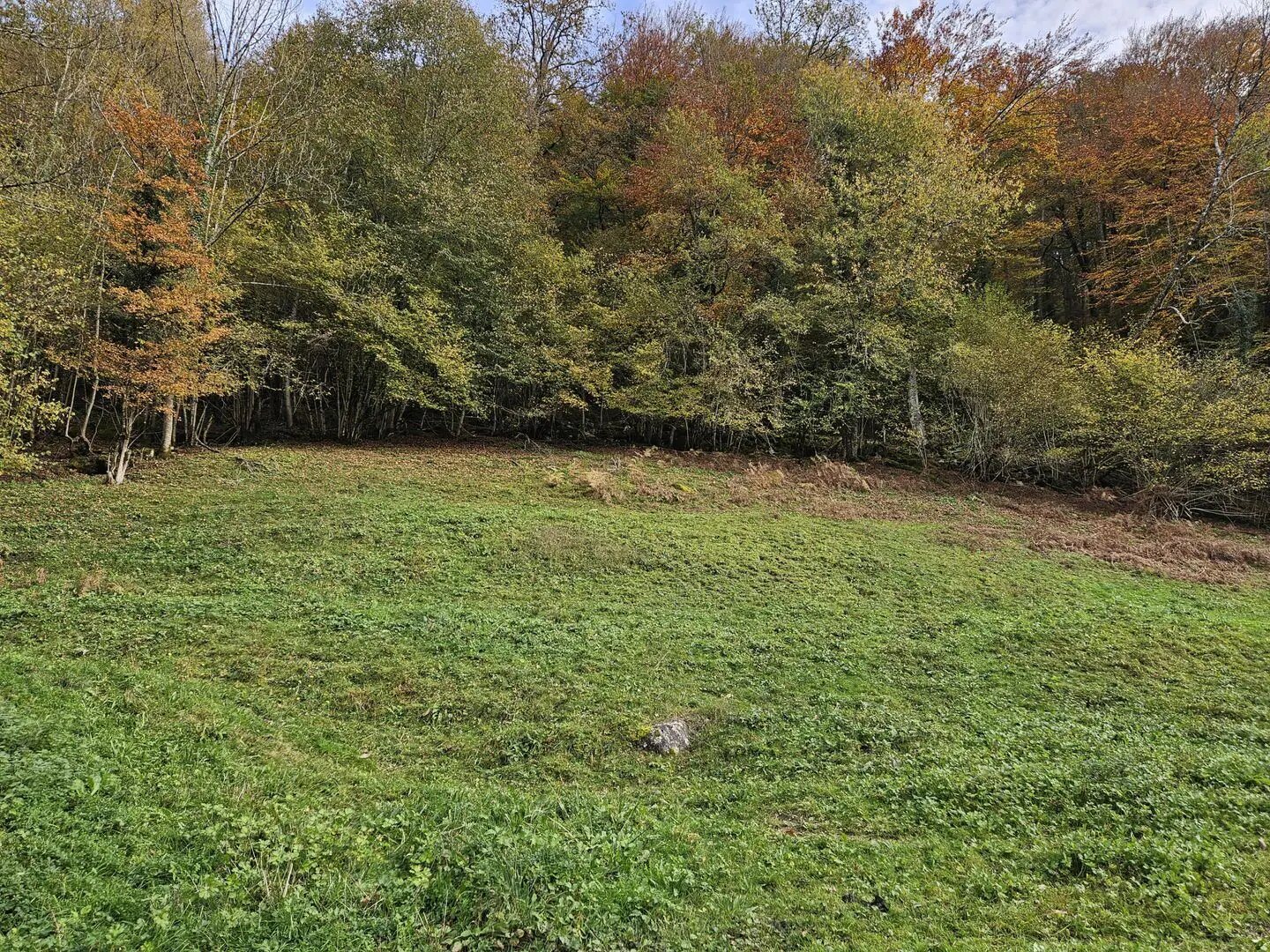 Maison à vendre, 35m², Ercé