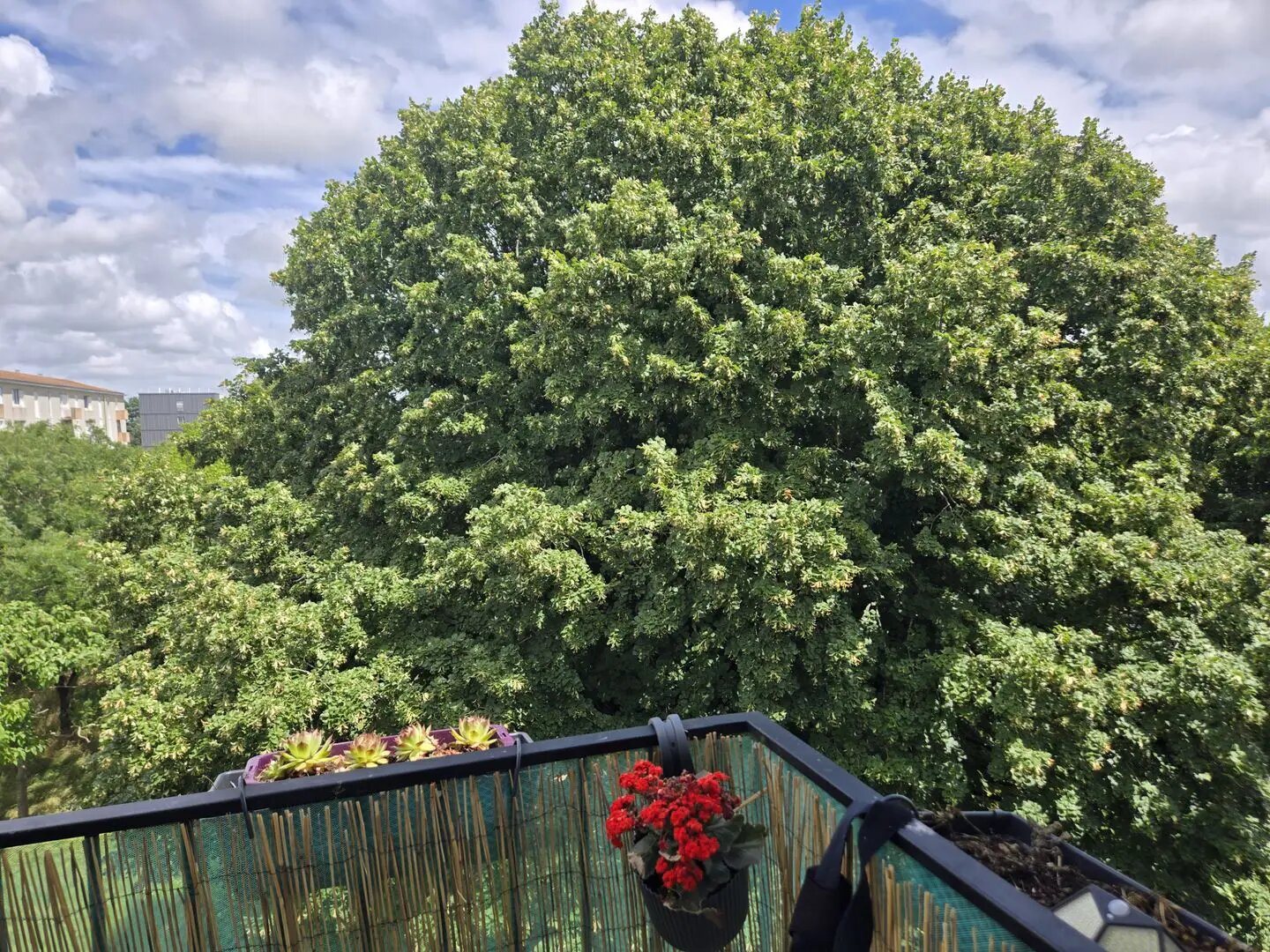 Appartement à vendre, 67m², Rochefort
