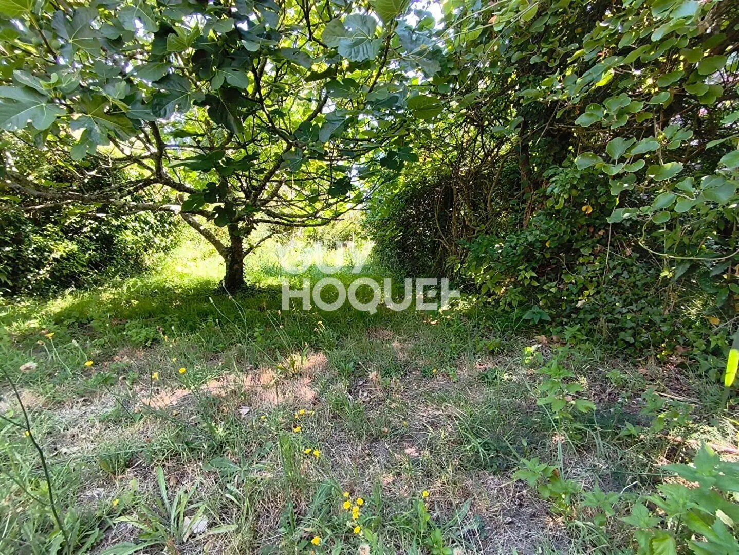 Maison à vendre, 90m², Saint-Trojan-les-Bains