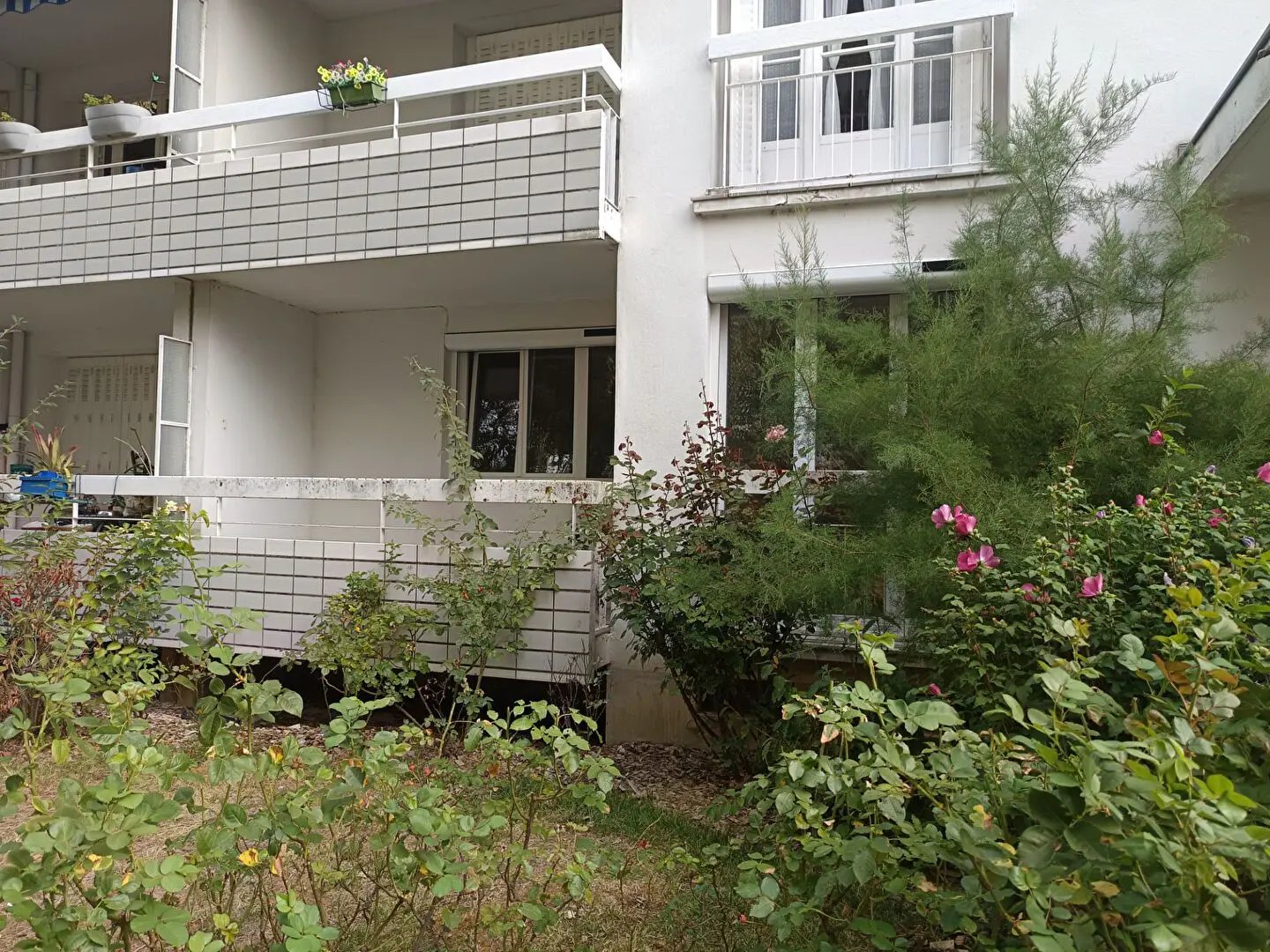 Appartement à louer, 61m², Dole