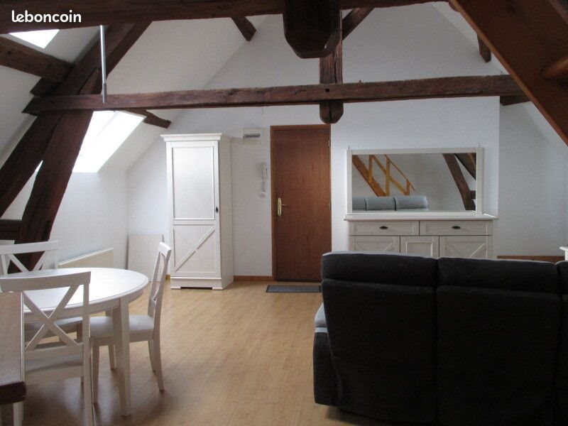 Appartement à louer, 47m², Orléans