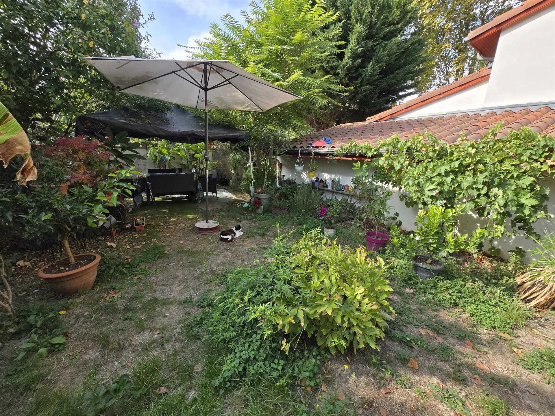 Maison à vendre, 80m², Cintegabelle