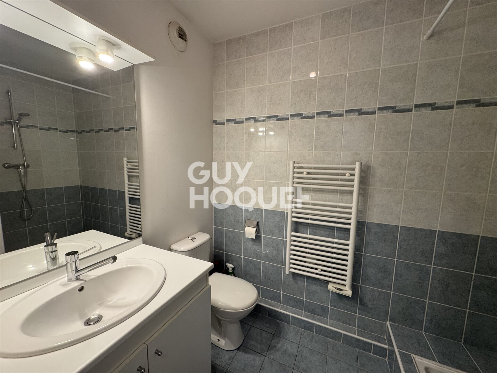 Appartement à louer, 37m², Bourgoin-Jallieu