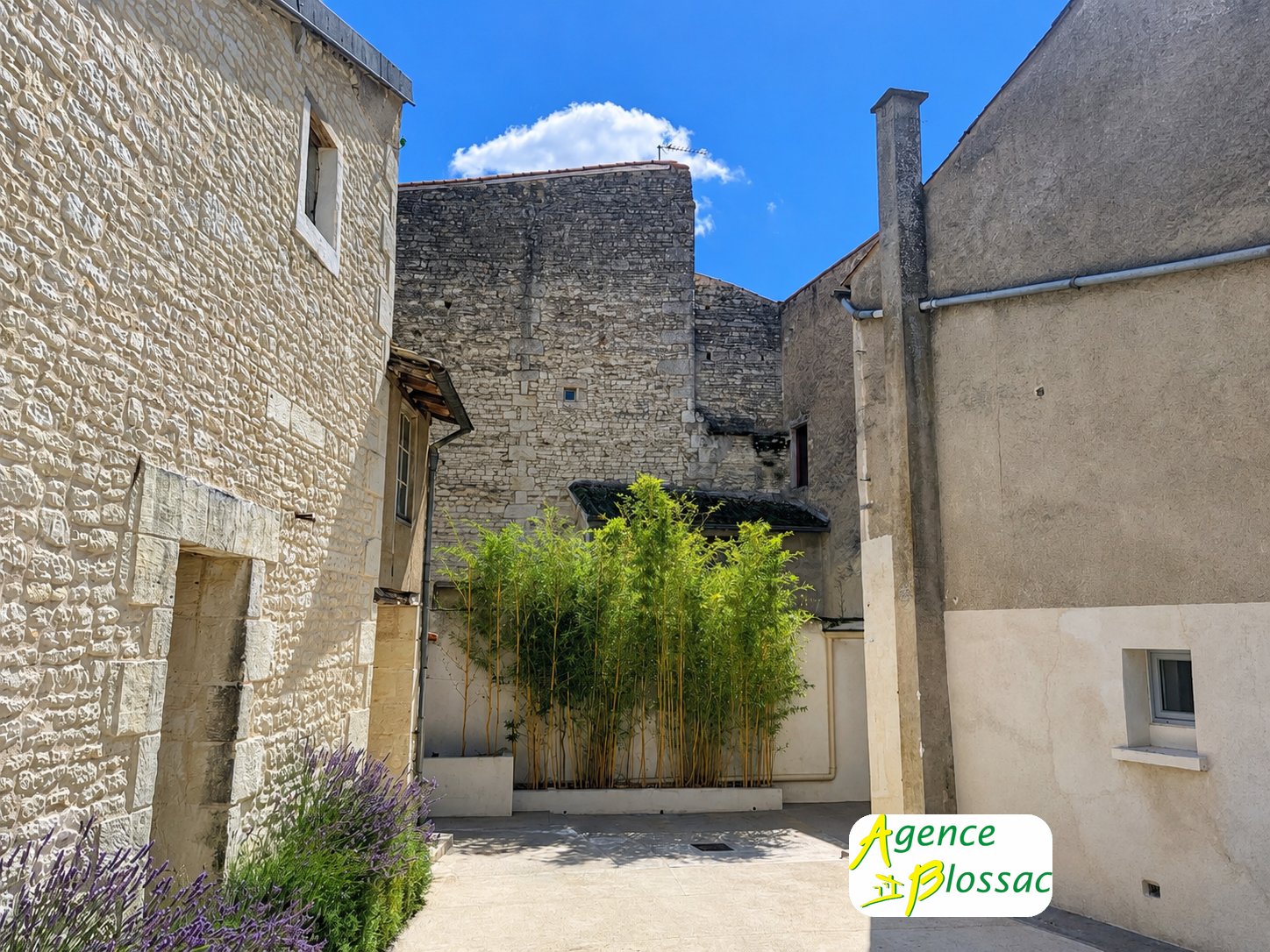 Maison à vendre, 170m², Mirebeau