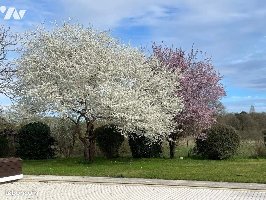 Maison à vendre, 271m², Veigné