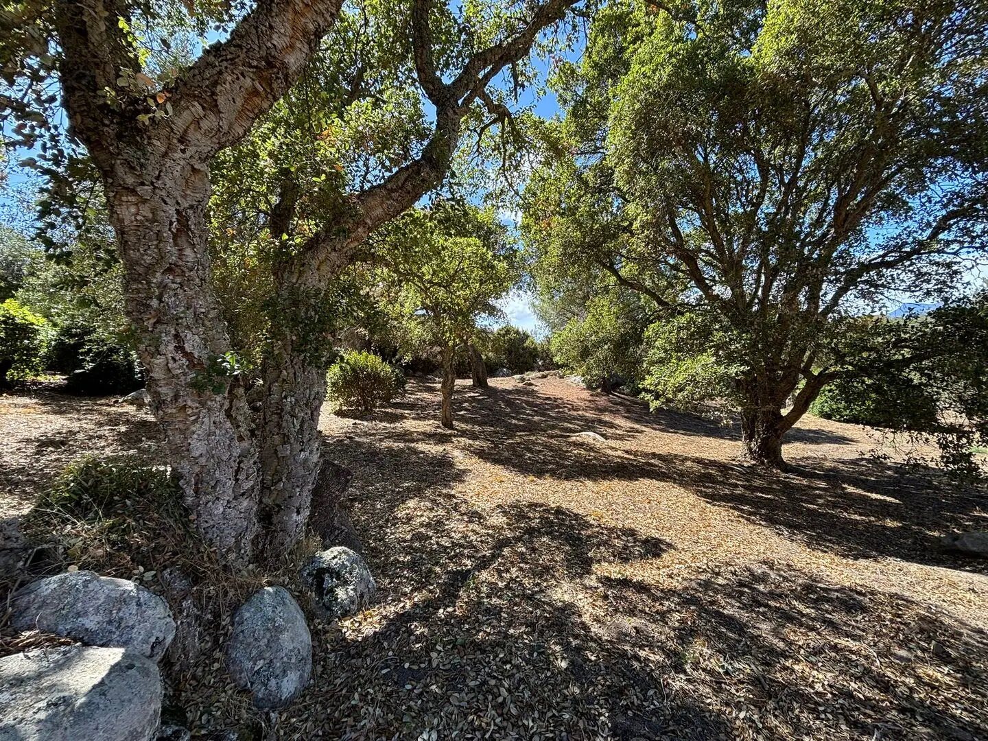 Maison à vendre, 90m², Sotta
