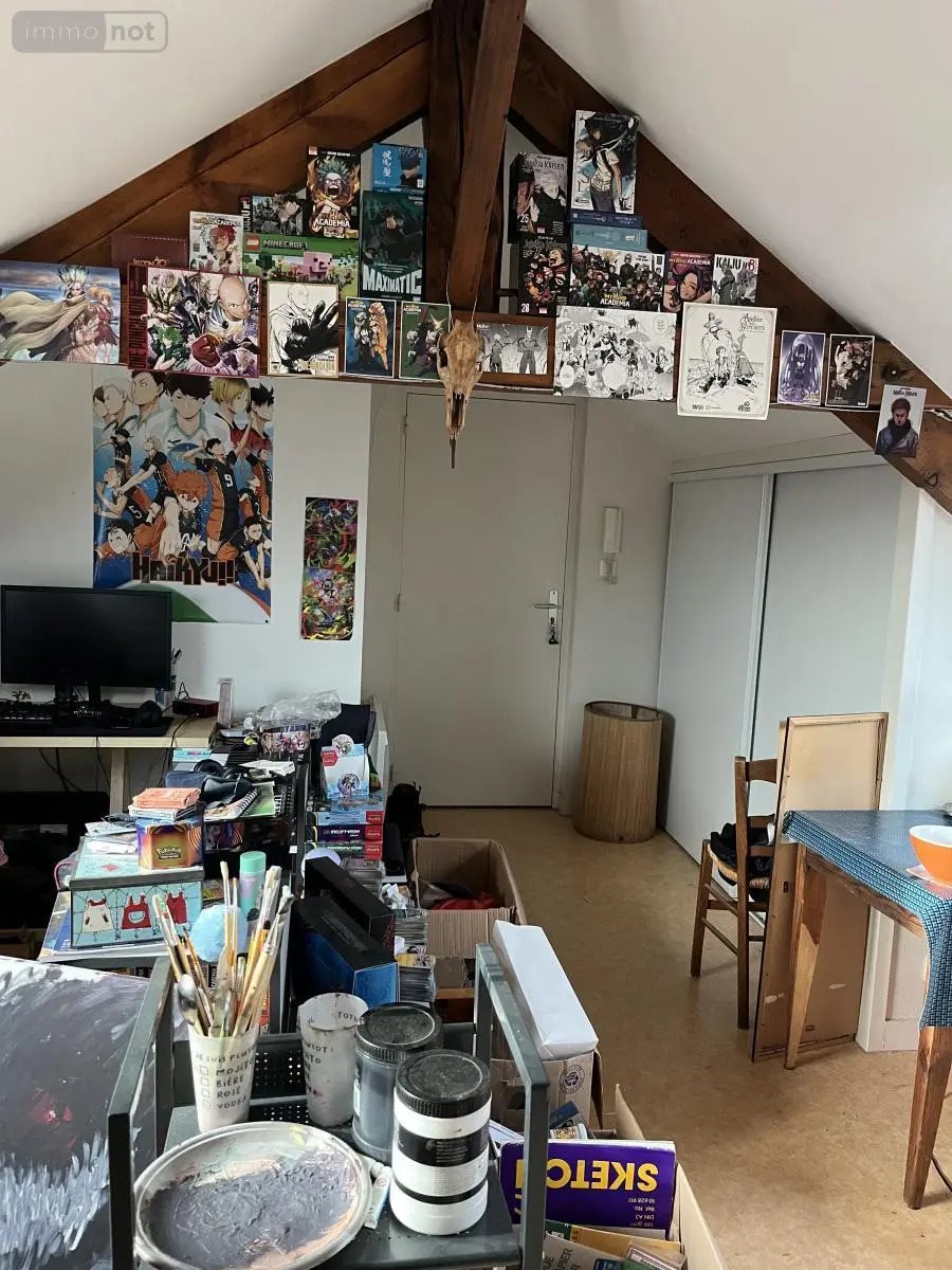 Appartement à vendre, 25m², Nantes
