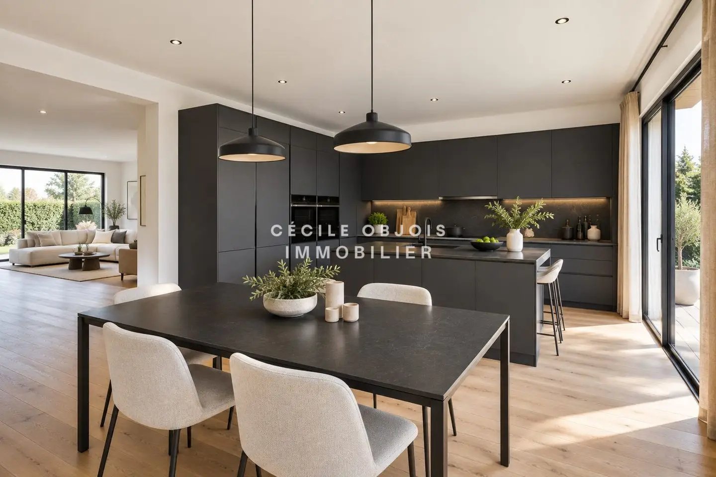Maison à vendre, 220m², Maisons-Alfort