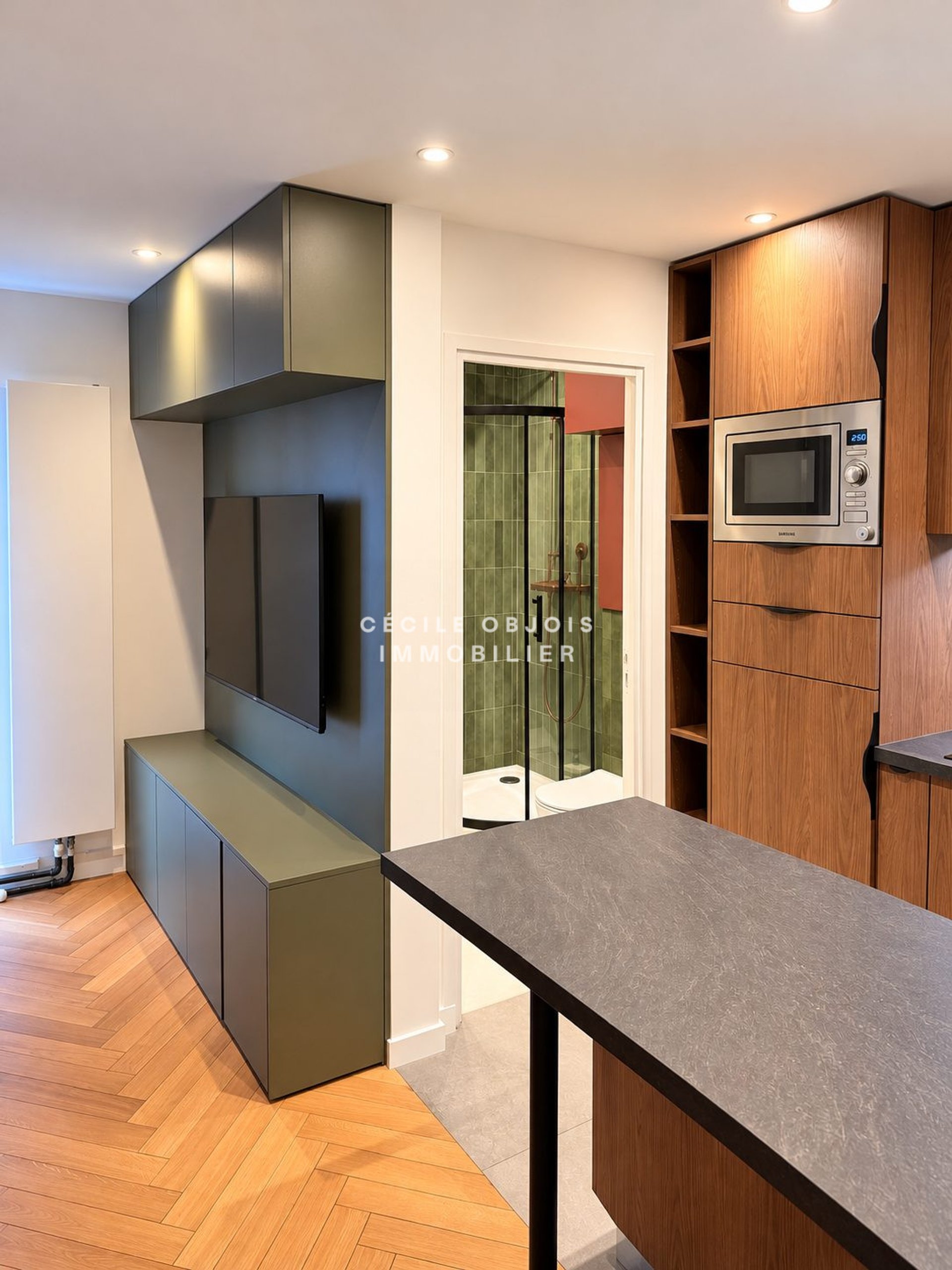 Appartement à vendre, 19m², Maisons-Alfort