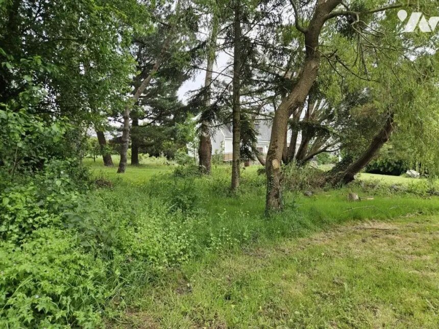 Maison à vendre, 210m², Locoal-Mendon