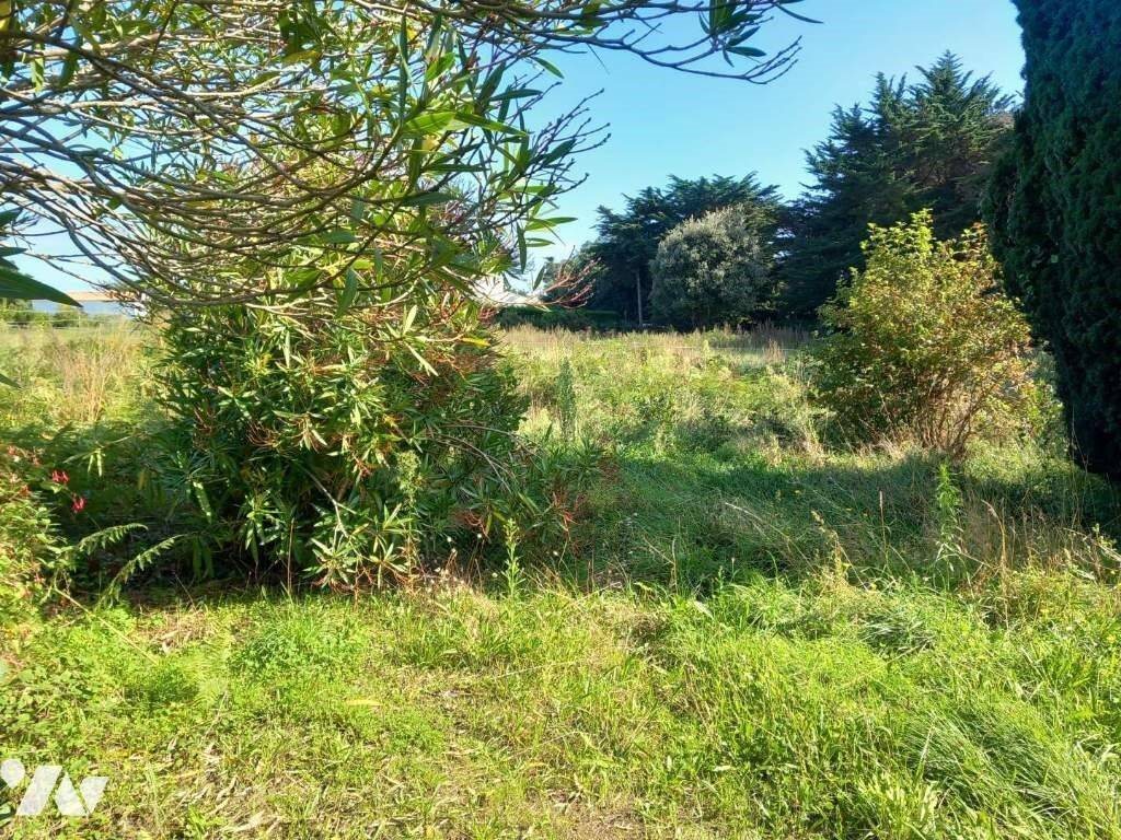 Maison à vendre, 100m², L'Île-d'Yeu
