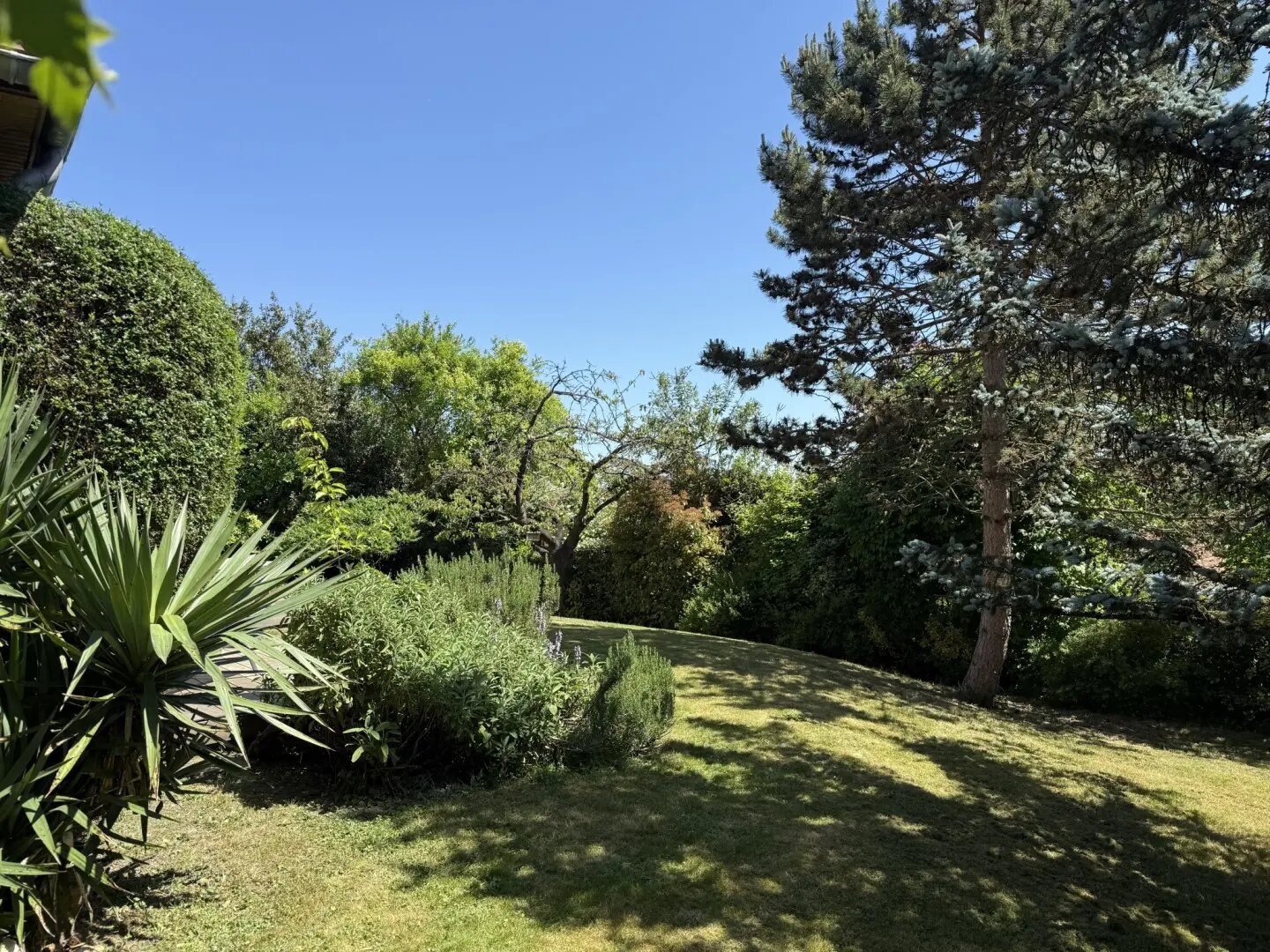 Maison à vendre, 204m², Villennes-sur-Seine