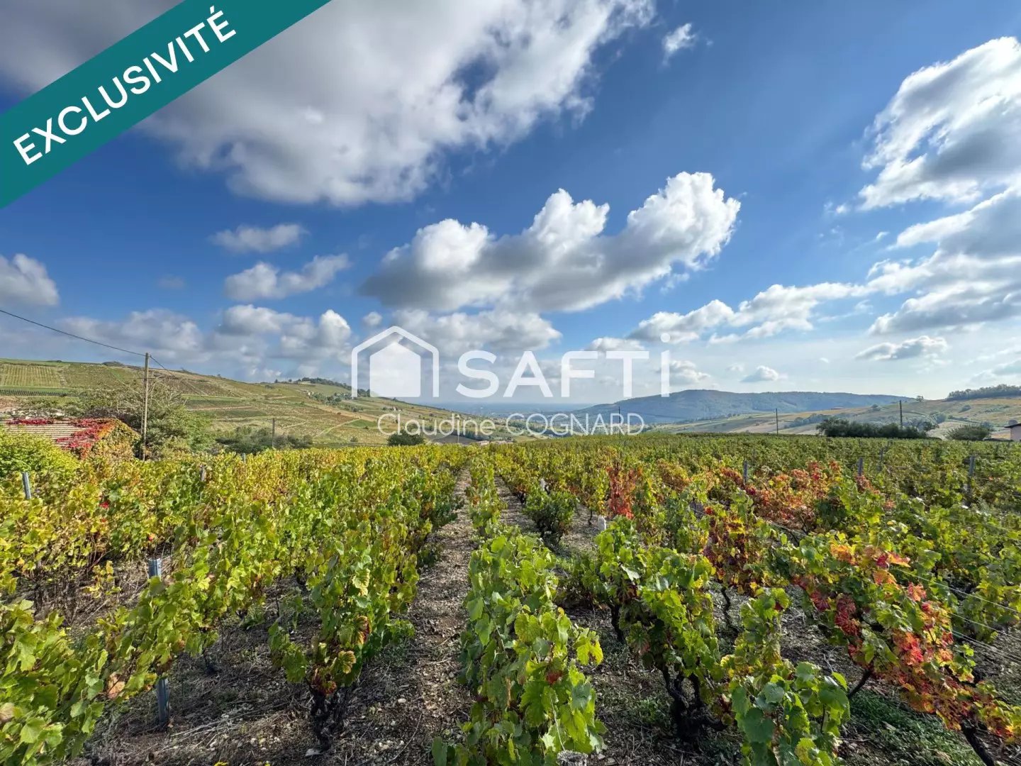 Maison à vendre, 153m², Pruzilly