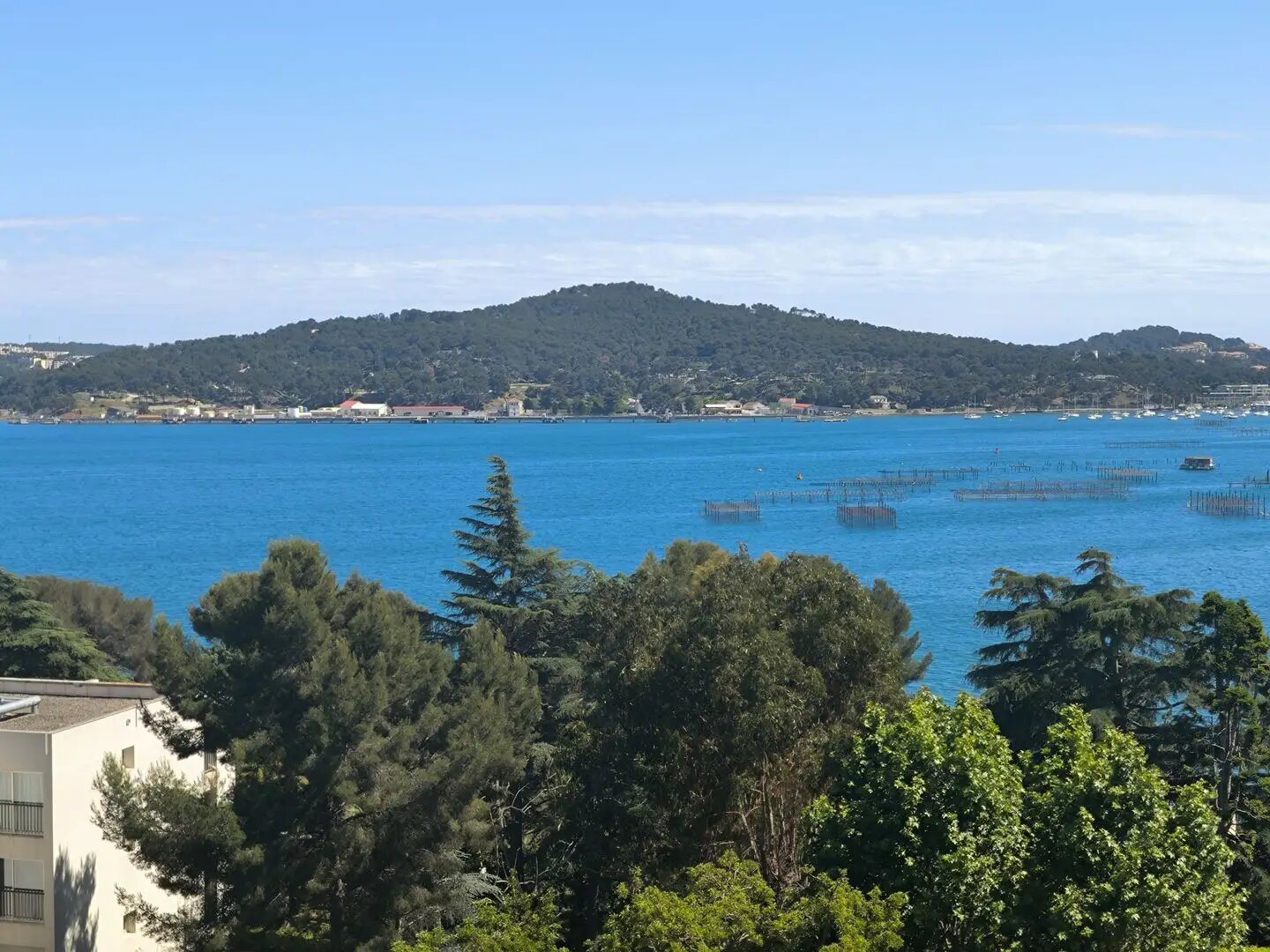 Appartement à vendre, 22m², La Seyne-sur-Mer