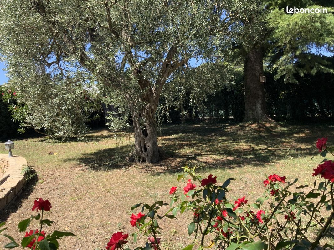 Maison à vendre, 150m², Uzès