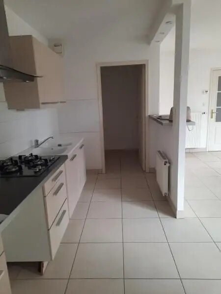 Appartement à louer, 54m², Messimy
