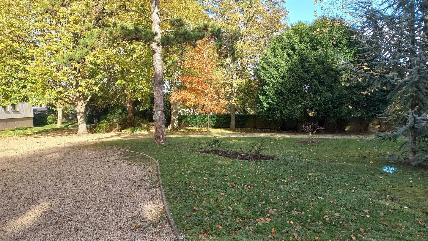 Appartement à louer, 62m², Saint-Germain-en-Laye