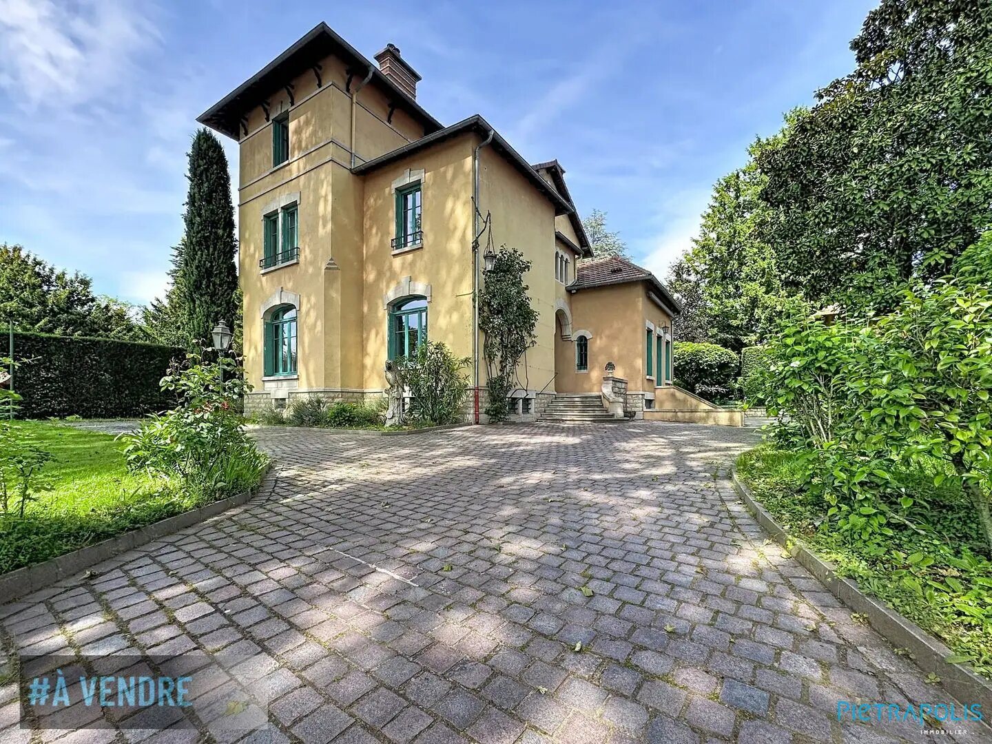 Maison à vendre, 370m², Thoissey