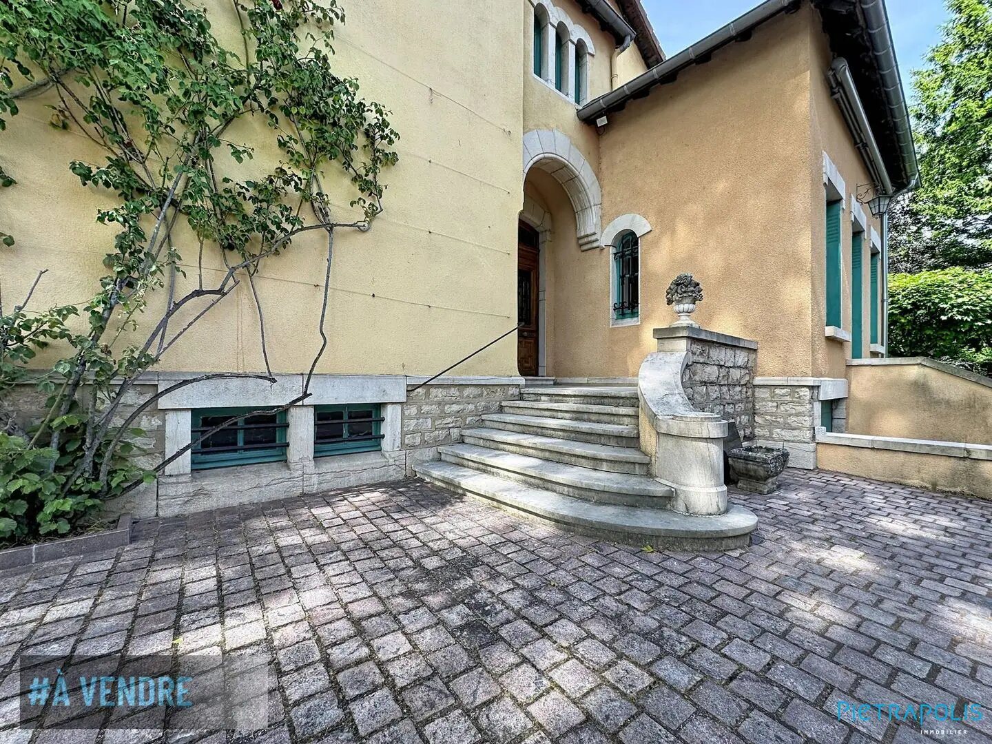 Maison à vendre, 370m², Thoissey