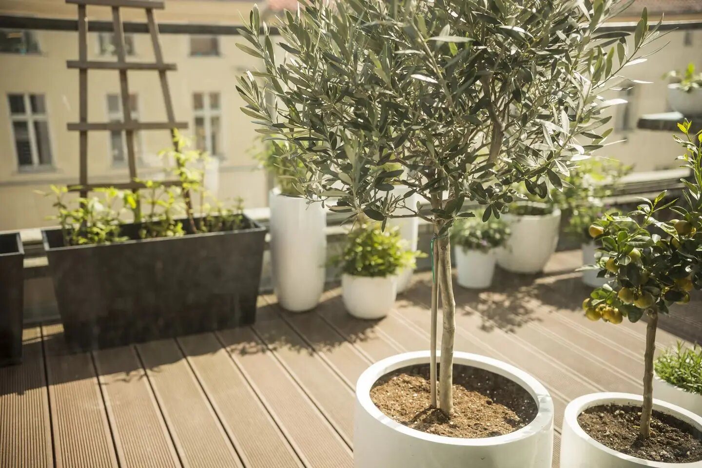 Appartement à vendre, 104m², Saint-Mandé