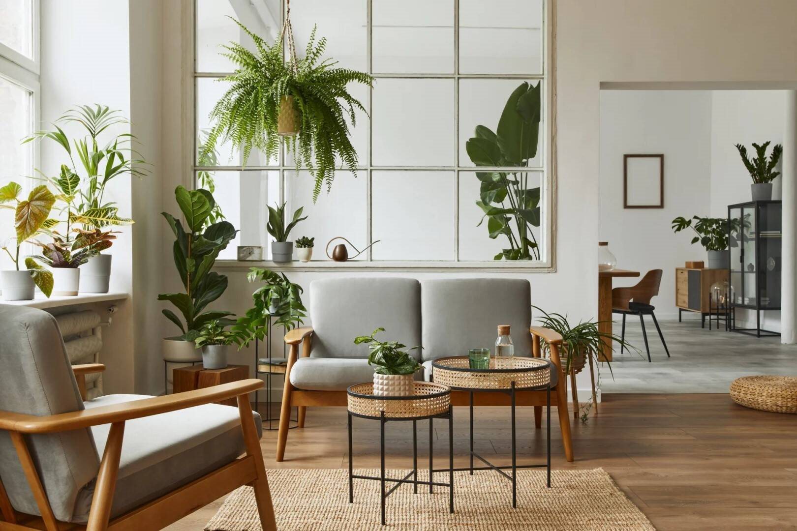 Appartement à vendre, 77m², Meudon