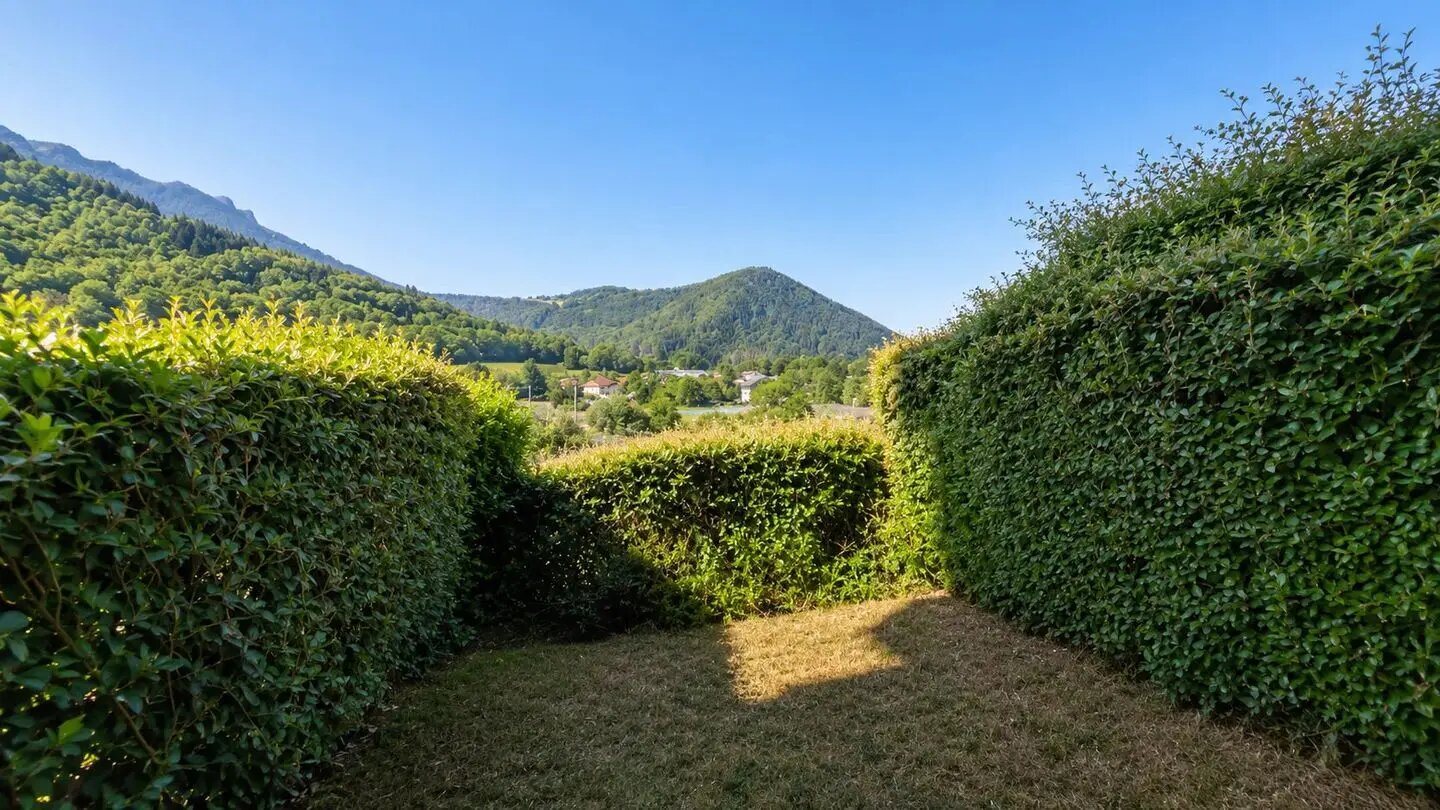 Appartement à vendre, 22m², Thollon-les-Mémises