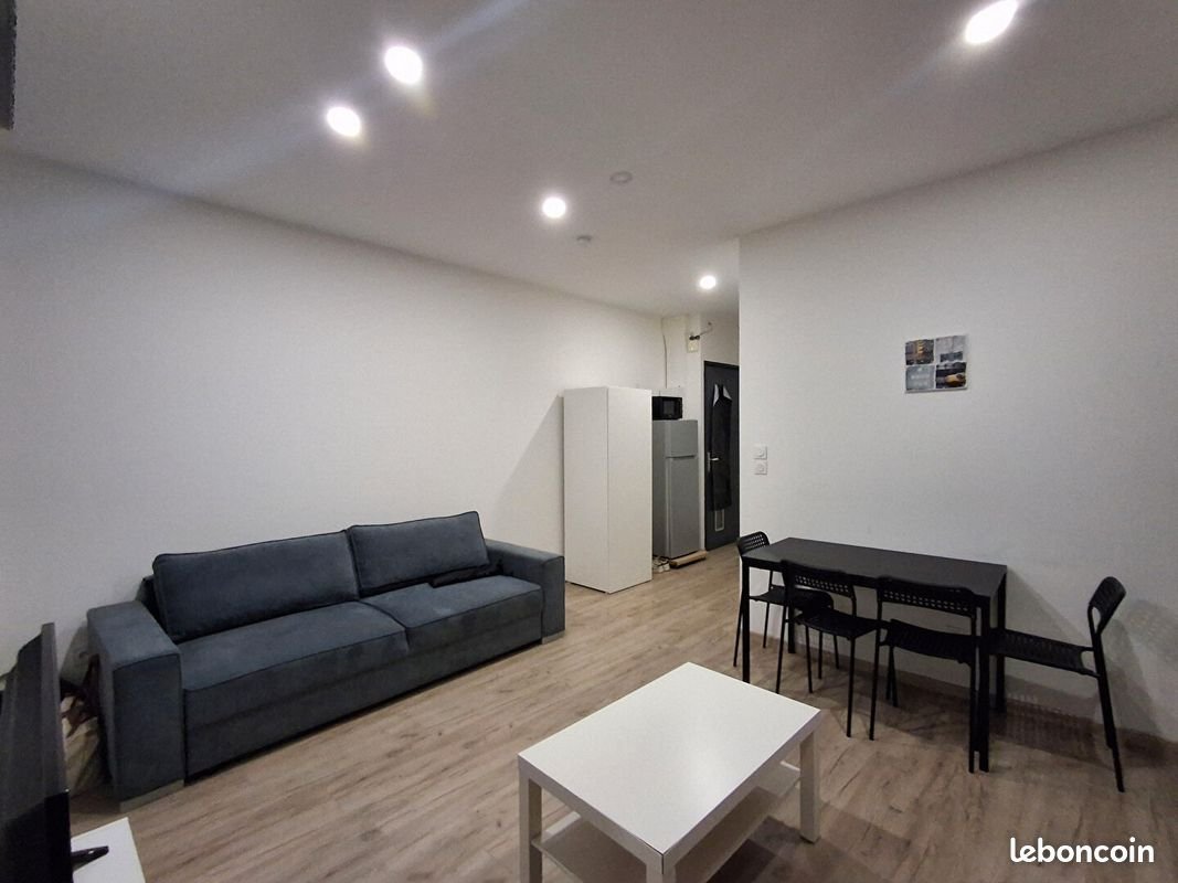 Appartement à louer, 37m², Saint-Étienne