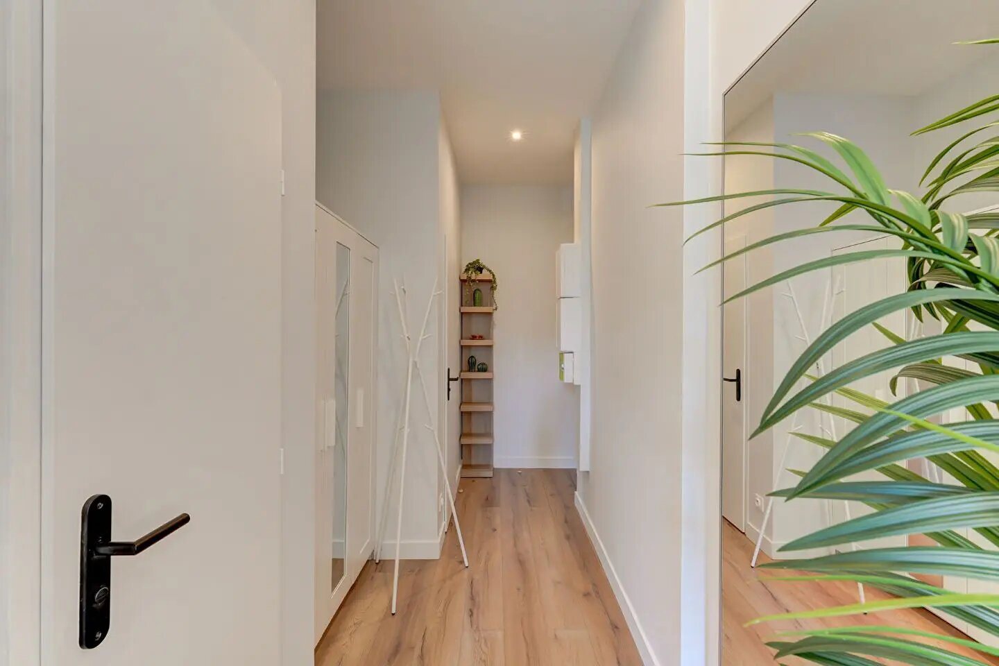 Appartement à louer, 19m², Villeurbanne