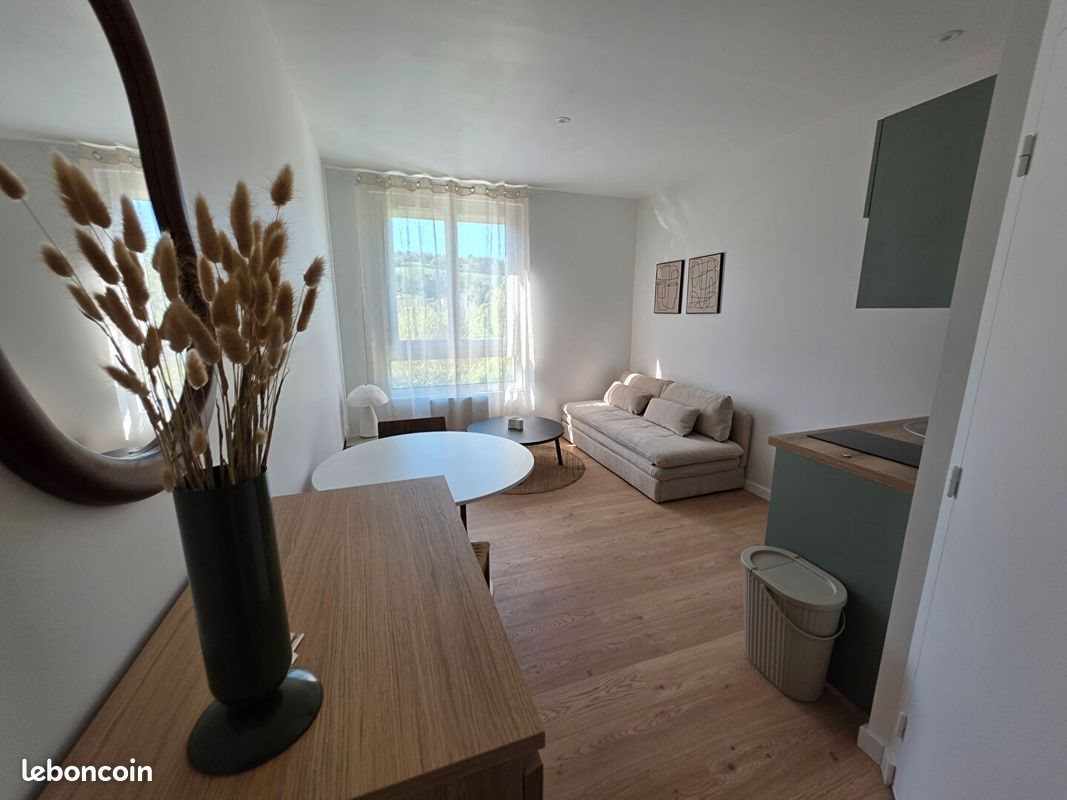 Appartement à louer, 19m², Saint-Etienne