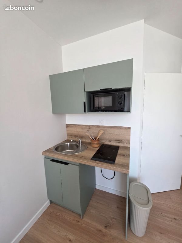 Appartement à louer, 19m², Saint-Etienne