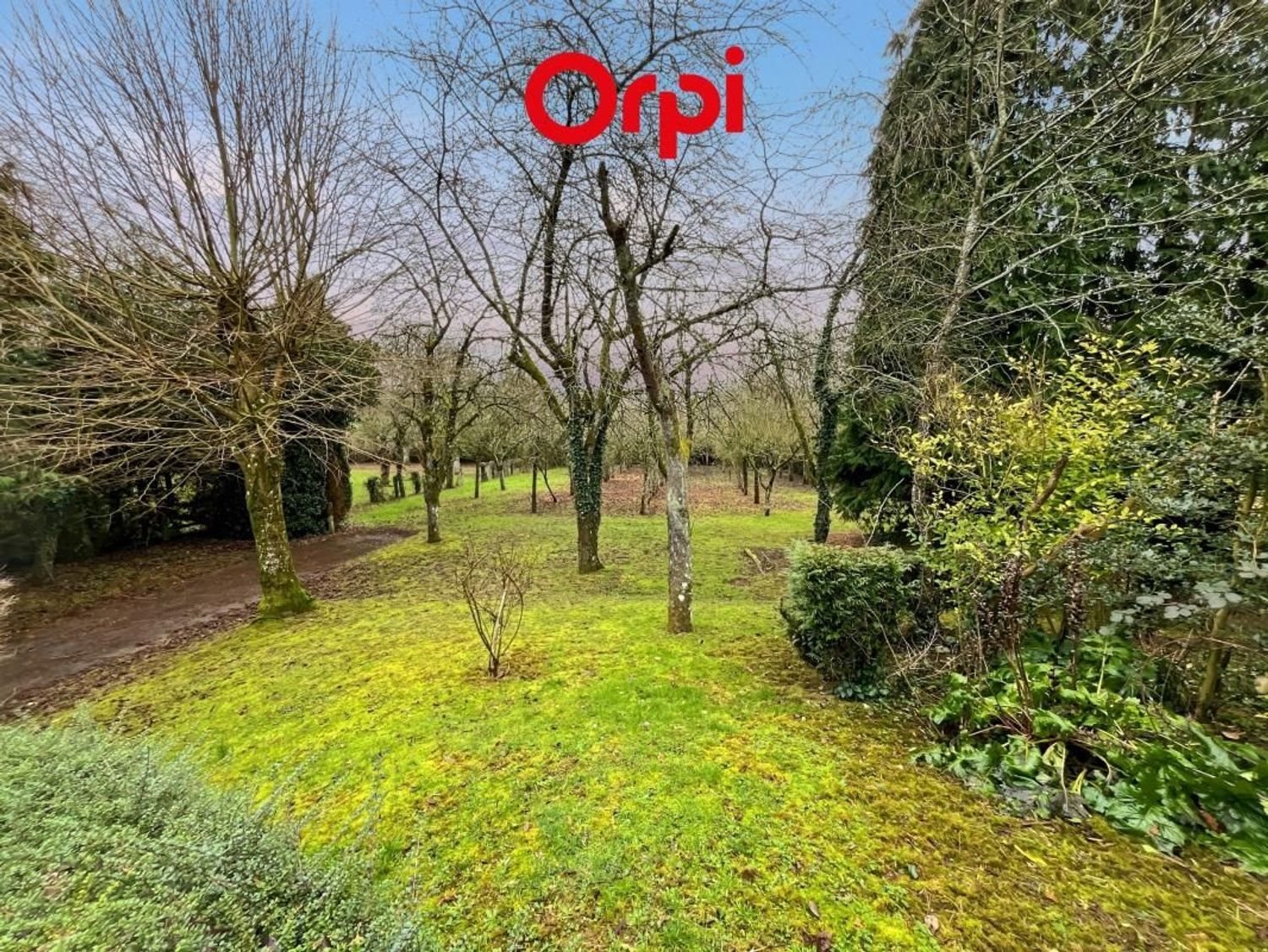 Maison à vendre, 230m², Ancinnes