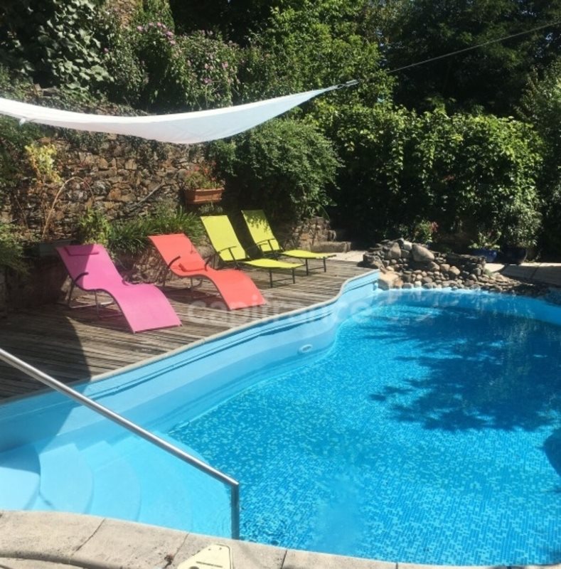 Maison à vendre, 390m², Vieillevie
