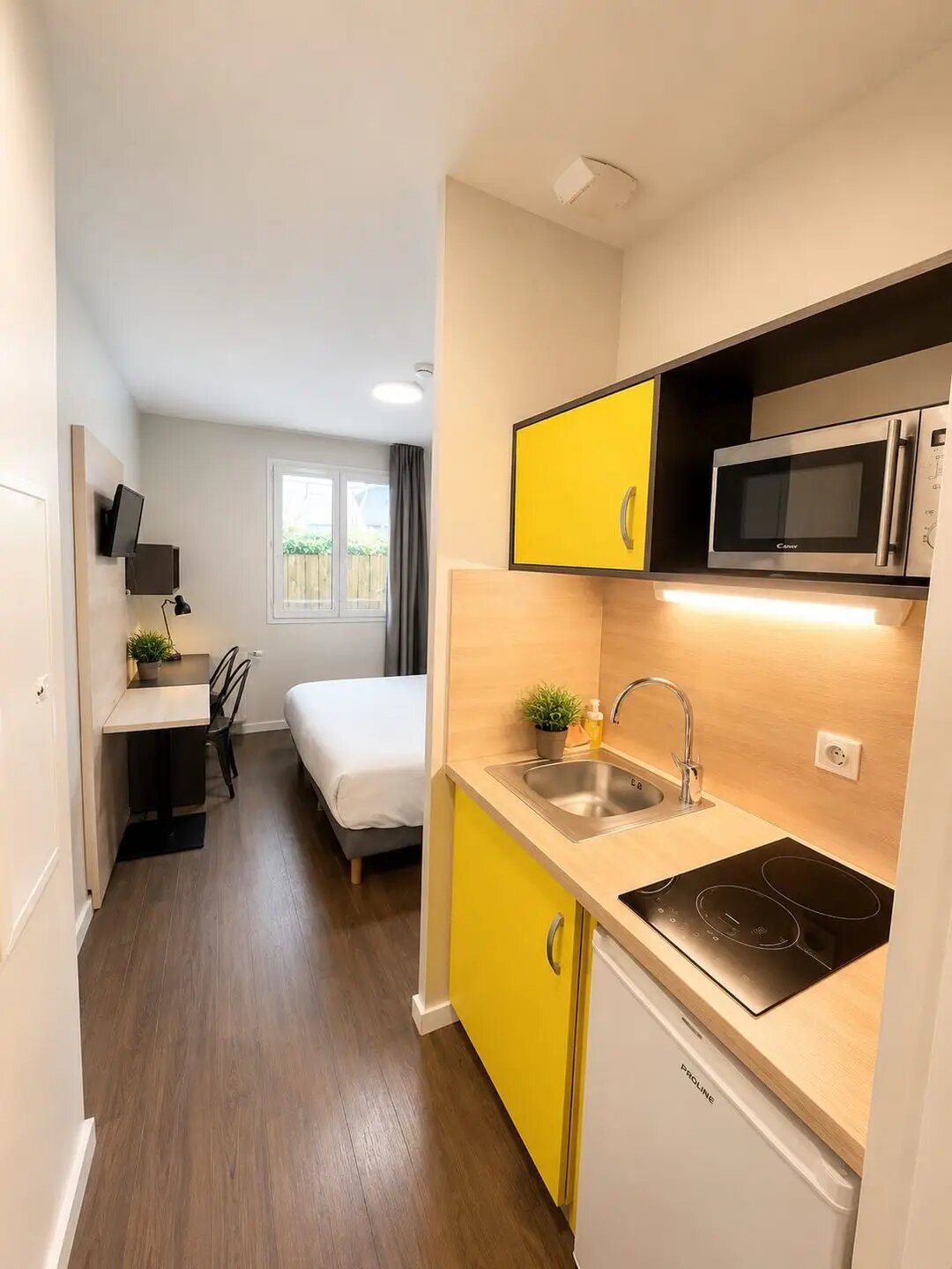 Appartement à vendre, 19m², Dardilly